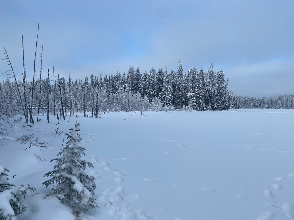 Embracing the Chill: 5 Activities to Help you Actually Enjoy a Manitoba&nbsp;Winter